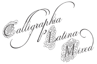 Discover the Elegant Calligraphia Latina Mixed Font