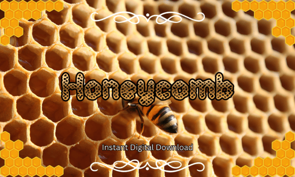 Honeycomb: A Playful Font for Sweet Designs